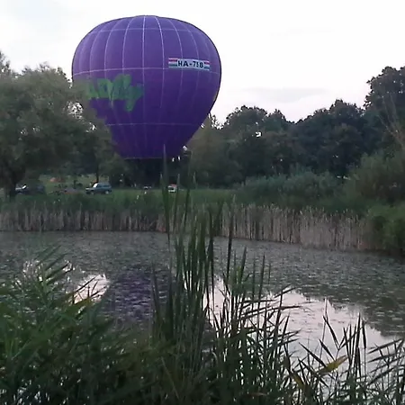 Korona Szallo מלון *