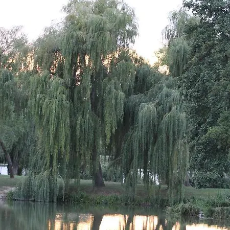 Korona Szallo Szálloda Nagykanizsa