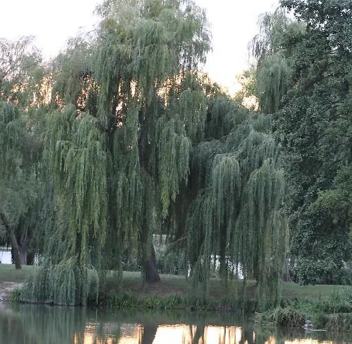 Korona Szallo Hotel Nagykanizsa